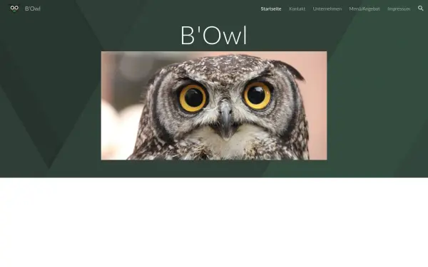 www.b-owl.de