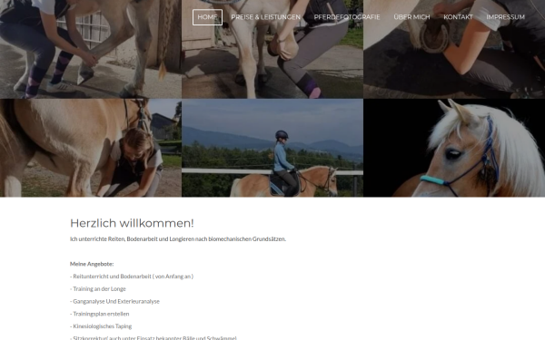 www.heidrunberghofer-gesundespferdetraining.at
