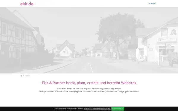 ekiz.de