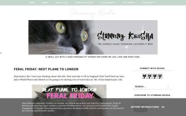 www.stunningkeisha.com