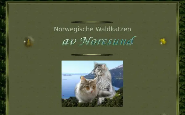 av-noresund.de