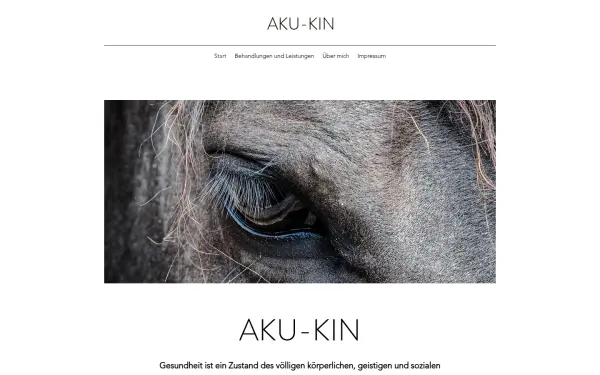 www.aku-kin.de