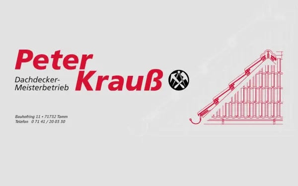 dachdecker-meisterbetrieb.de