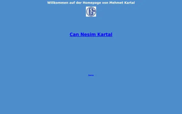 mehmet-kartal.de