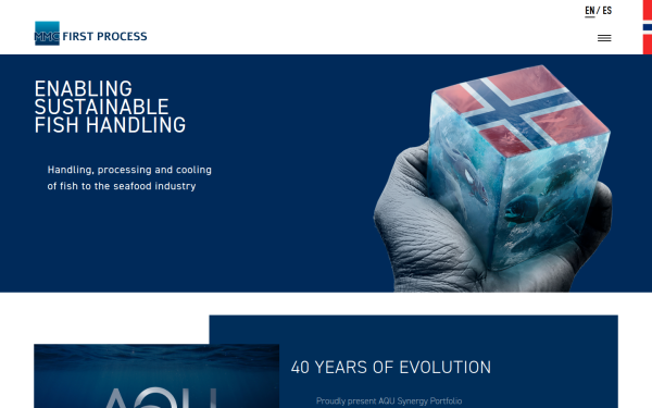 www.mmcfirstprocess.com