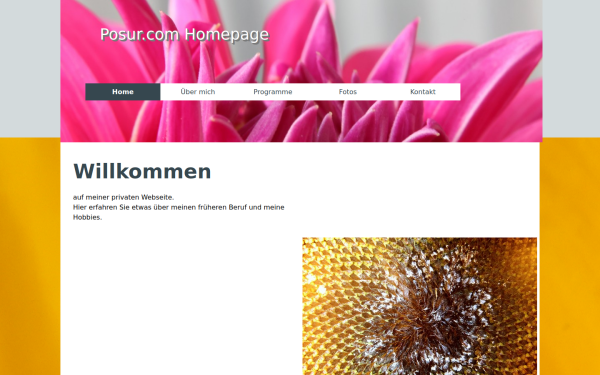 www.posur.com