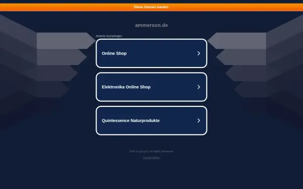 ammerson.de