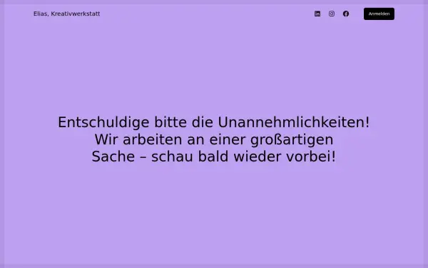 diener-reinigungssysteme.de