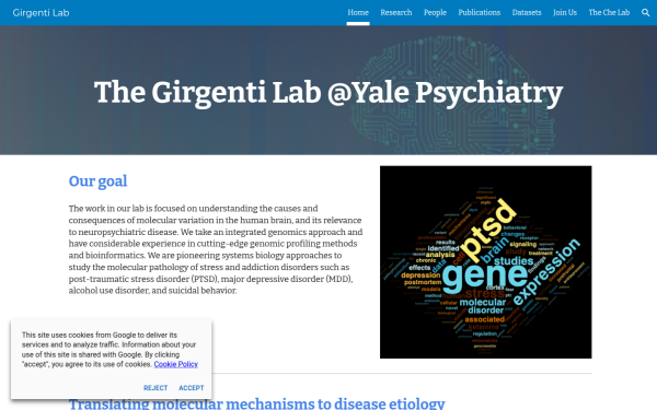 www.girgentilab.org