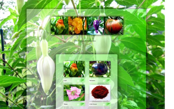 blaue-tomaten-shop.de