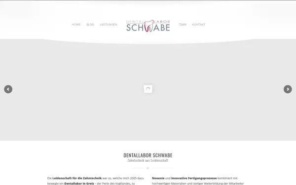 www.dl-schwabe.de