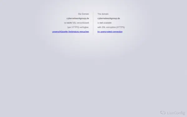 cybernetworkgroup.de