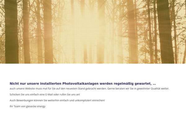 giesecke-energy.de