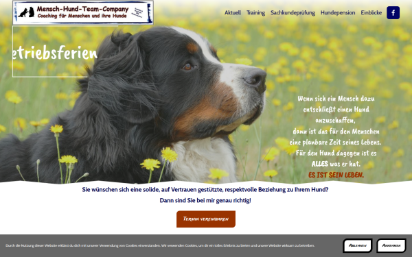 mensch-hund-team-company.de