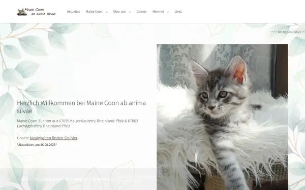 mainecoon-ab-anima-silvae.de