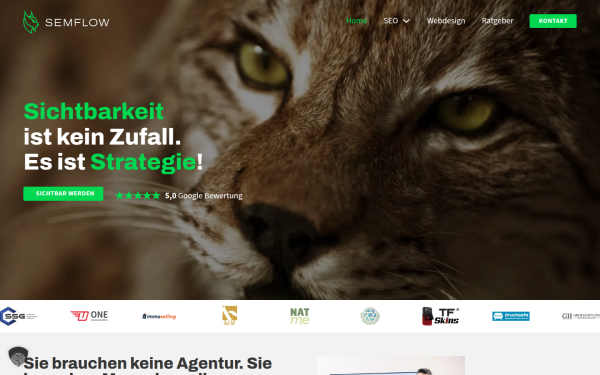 www.semflow.de