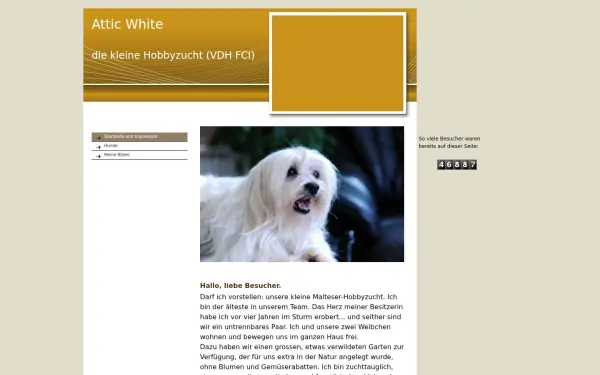 attic-white.de