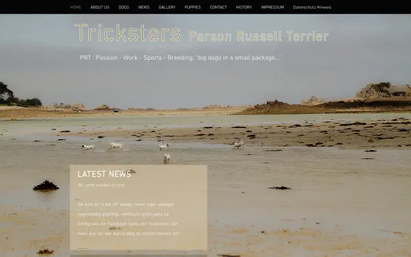 www.tricksters-prt.de