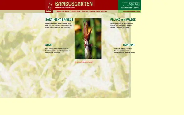 bambus-zentrum.de