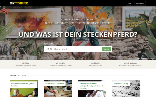 www.deinsteckenpferd.de