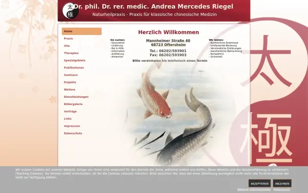 mercedesriegel.de