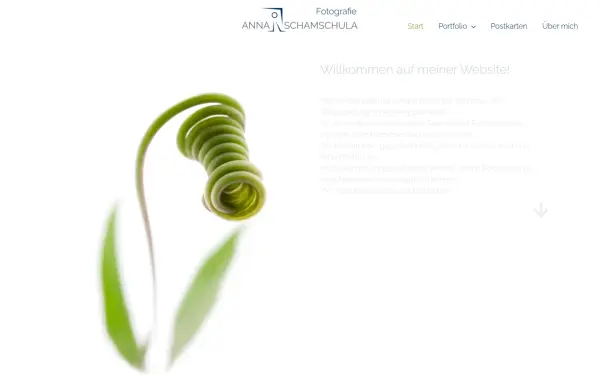 anna-schamschula.de