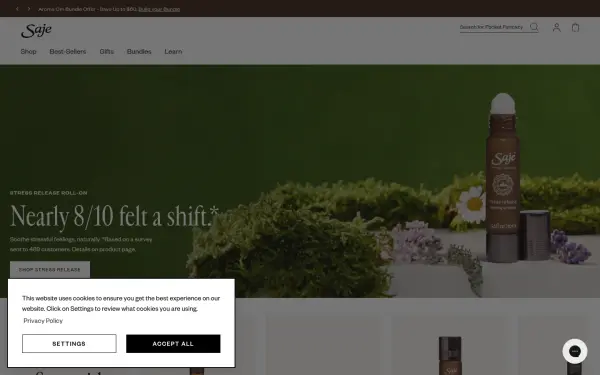 www.saje.com