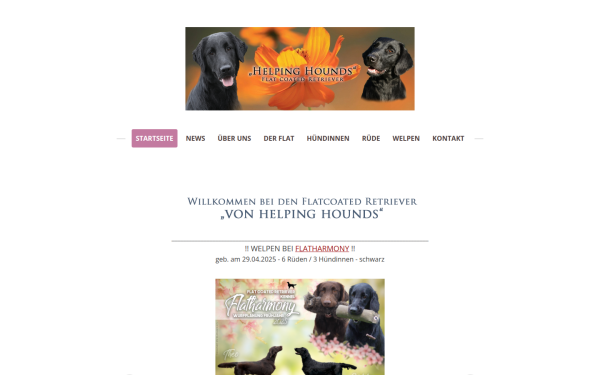 helpinghounds.jimdofree.com