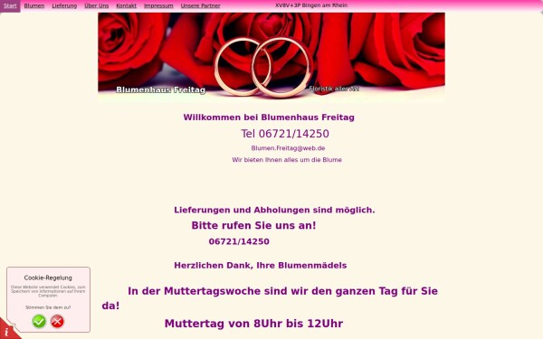 blumen-freitag-bingen.de