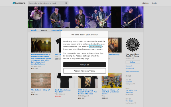 thementheycouldnthang.bandcamp.com