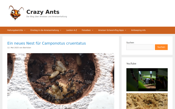 crazyants.de
