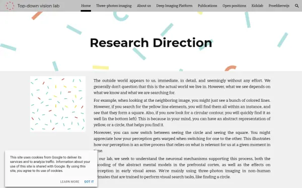 www.neuroscience.vision