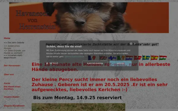 www.havaneser-von-herrenstein.de