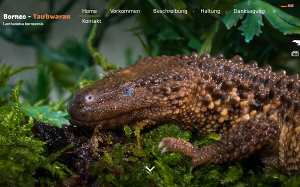 www.borneo-taubwaran.de