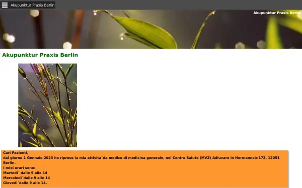 www.akupunktur-praxis-berlin.de