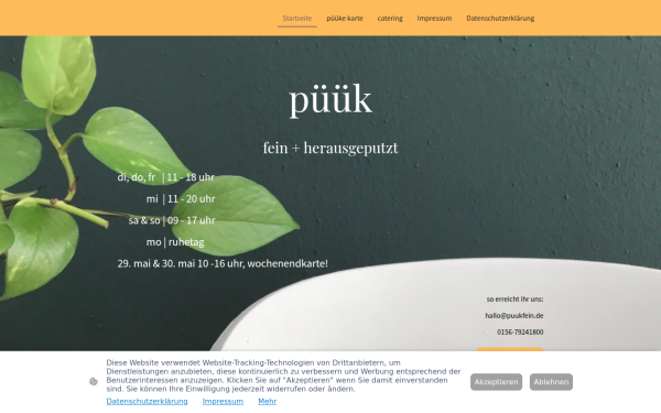 www.puukfein.de
