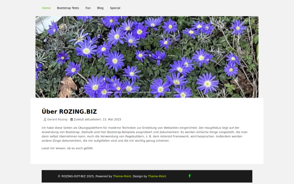 rozing.biz
