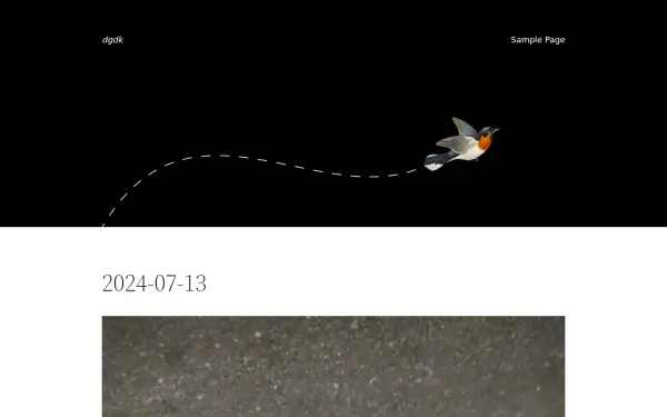dgdk.de