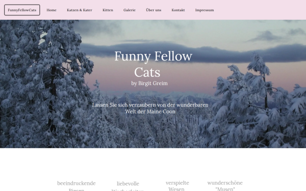 www.mainecoon-funnyfellowcats.de
