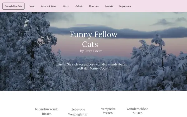 www.mainecoon-funnyfellowcats.de