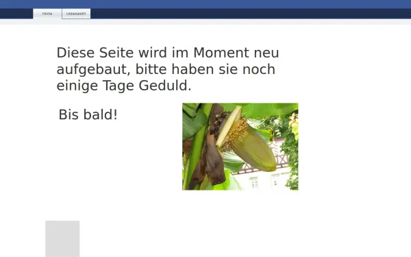 maxi-lang.de