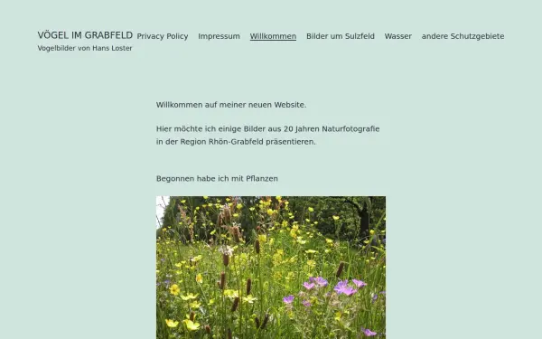 antonwinkler.de