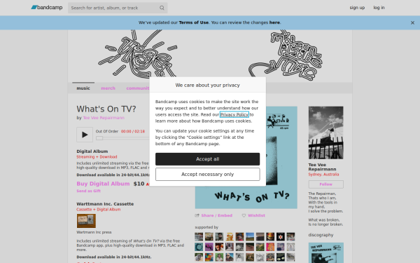 teeveerepairman.bandcamp.com