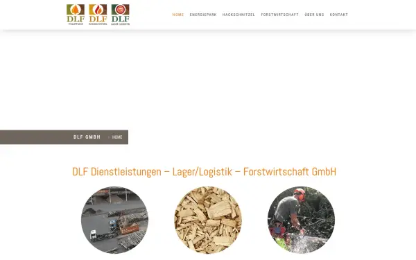 www.dlf-gmbh.de