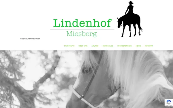 www.lindenhof-miesberg.info