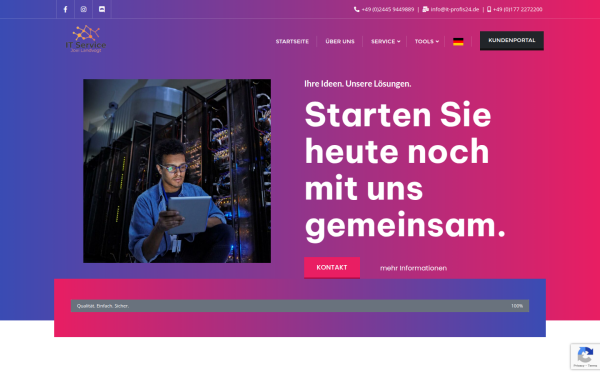 it-profis24.de