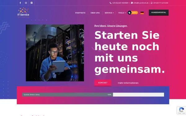 it-profis24.de