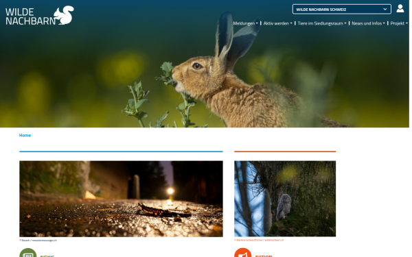 www.wildenachbarn.ch