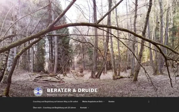 berater-druide.de