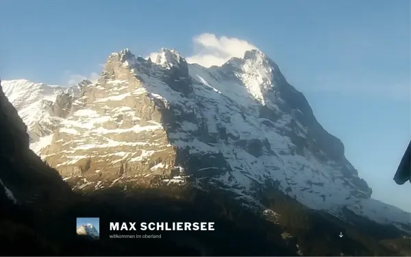 maxmerz.de
